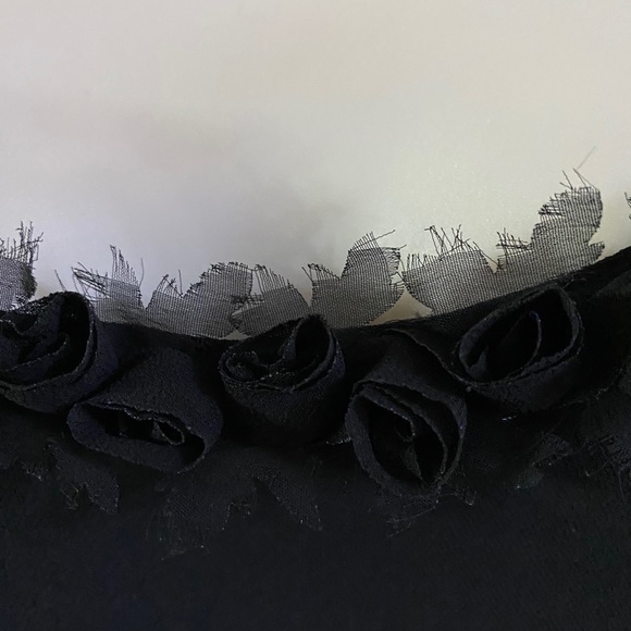 Cache black sheer overlay gown size 10 - Picture 4 of 12